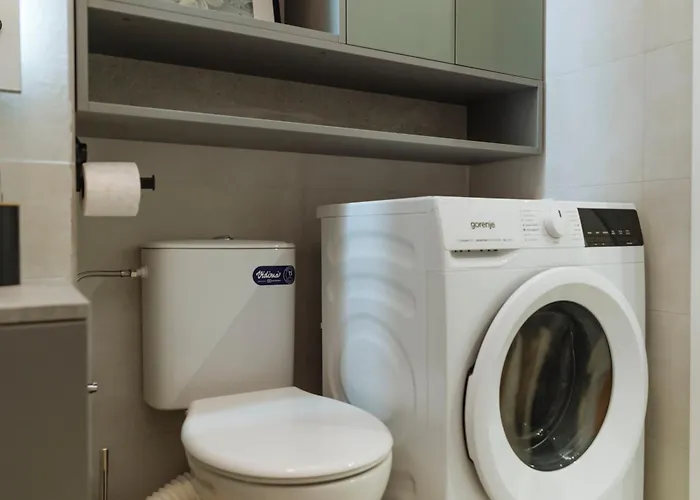 Nexus Olive Studio Plaza With Parking アパート ブカレスト