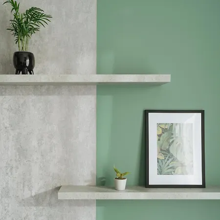 Nexus Olive Plaza Daire *