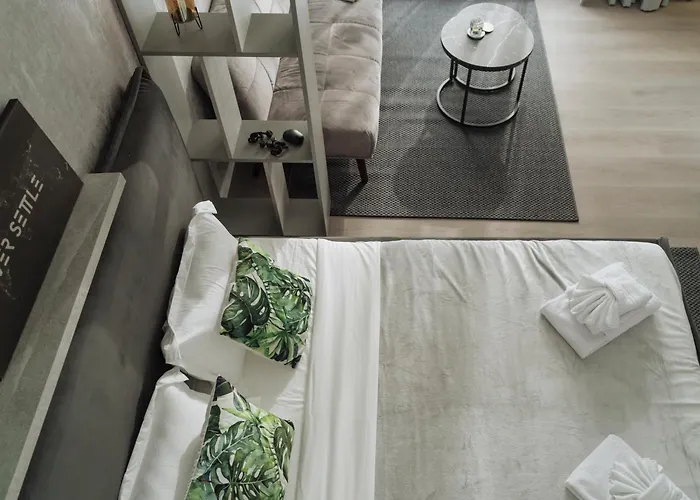 Nexus Olive Plaza With Parking Daire